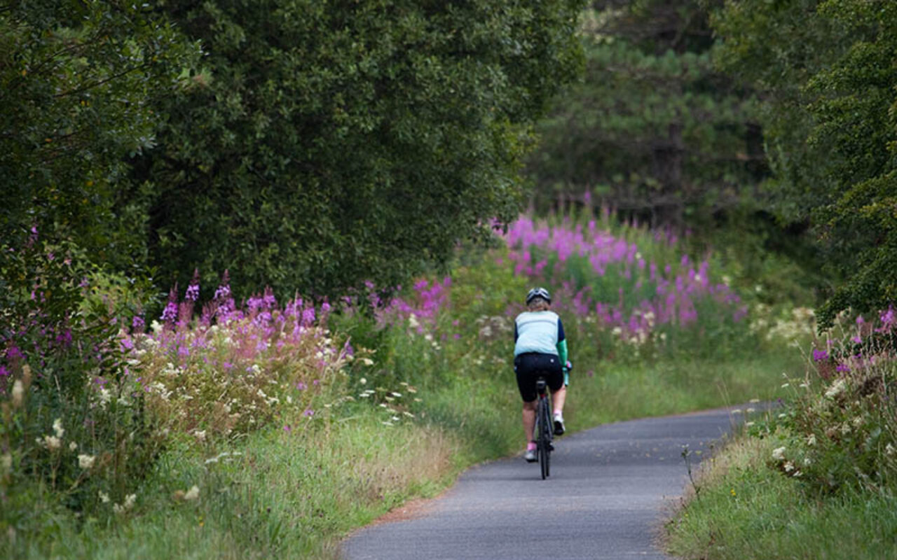 Blog: Guided Cycle Rides with Lorna Stubbs Davies